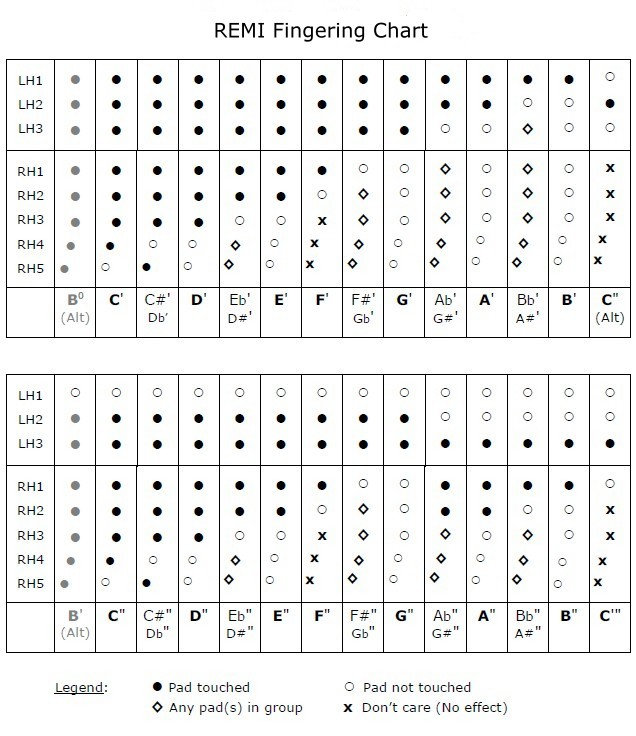 Introducing the REMI Electronic Wind Instrument (EWI)